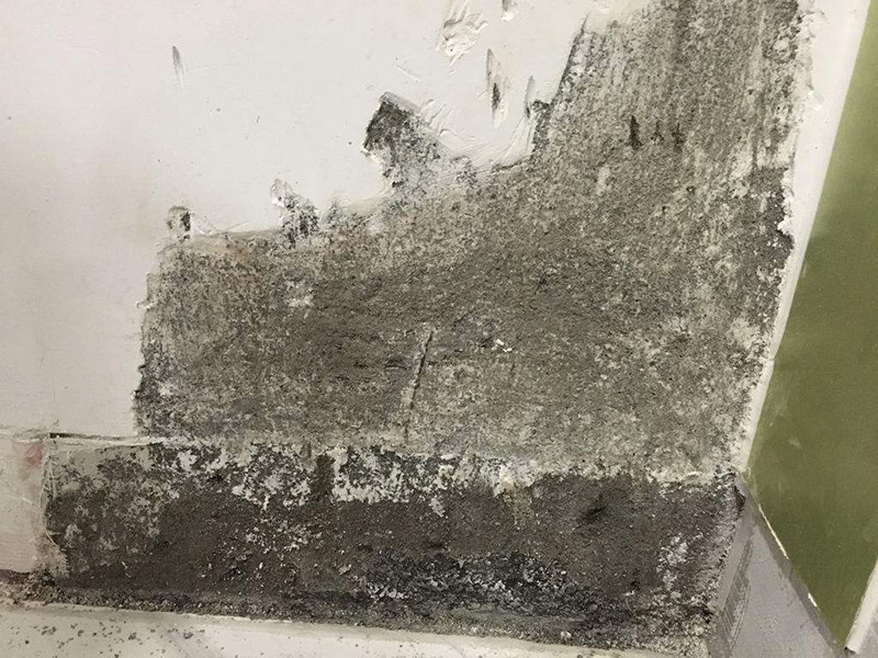 梅雨季節墻壁發霉怎么處理，為大家整理的小竅門來了